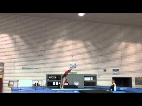 Jugendländerkampf SUI-GER 2016: Steffi Omlor Kür