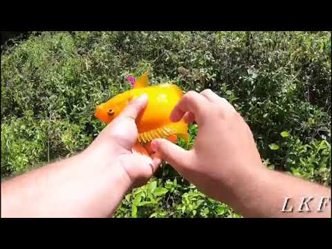 Una Captura Inesperada