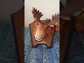 Morris The Moose Before Repairs