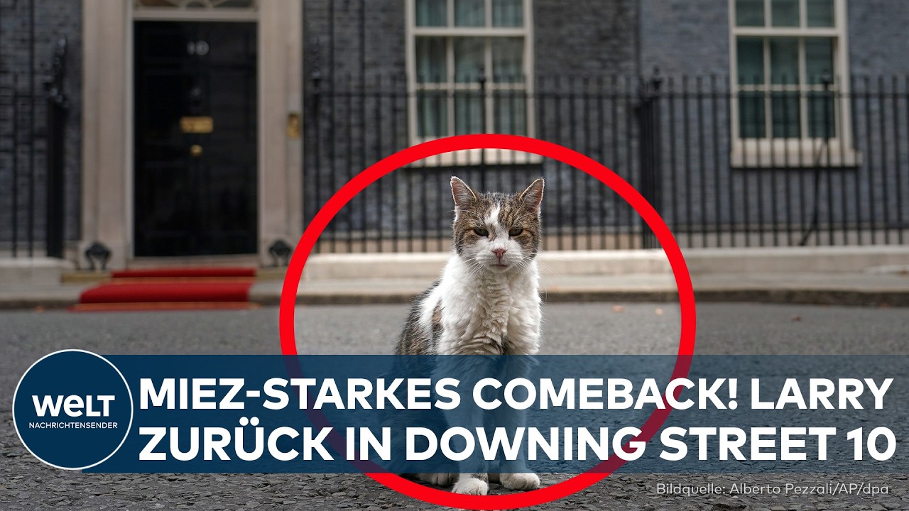 DOWNING STREET 10: Miez-Gute Nachrichten! Larry landet wieder in Londoner Revier nach Operation!