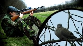 Dove hunting with the tuned HW97K