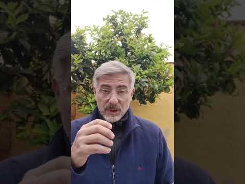 Evangelio del Nuestro Señor Jesucristo Con el Padre Fabian Esteban Oliva. 31/05/26