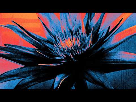 Luca Testa & Lotus - Wonderful Life (Visualizer)