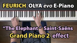 The Elephant by Saint-Saëns - FEURICH OLYA evo Grand Piano 2 Effect