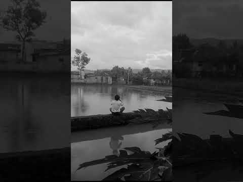 the beauty of the beach and the tranquility of the rice fields 