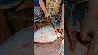 Increadible Giant Black Pomfret Fish Cutting Skills Live In Fish Market || #shorts