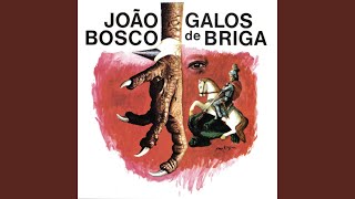 O Cavaleiro E Os Moinhos