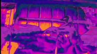 Fireflies In Summer | Che