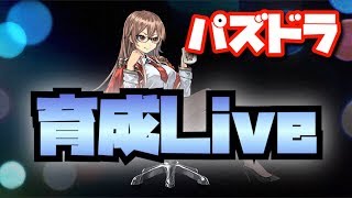ランク1173【パズドラLIVE】育成すーる