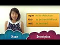 Learn Vietnamese Language With Annie 19, Adjectives