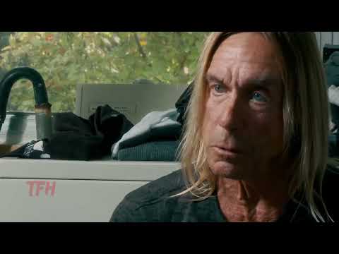 afbeelding Allan Arkush on GIMME DANGER