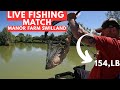 Live Fishing Match Manor Farm Swilland IP6 9LB Matchfishinguk