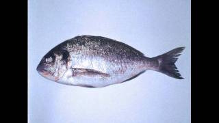 Clepsydra - Alone (I and II)