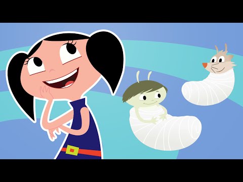 Earth to Luna!, Silkworms #Music Video 46