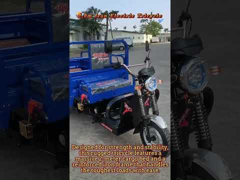 2.0m Iron Electric Tricycle with the lifting system