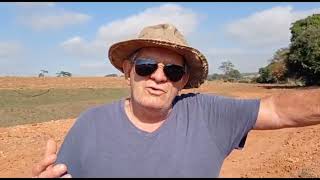 Veja como as plantas crescem depressa PARTE 3