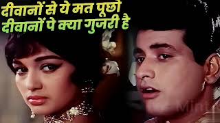 Download lagu Diwano Se Ye Mat Pucho 4k Bolly Jhankar Remix Song mp3 Download lagu Diwano Se Ye Mat Pucho 4k Bolly Jhankar Remix Song mp3