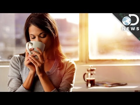 朝型人間になった方がいい理由 (Why It's Better To Be A Morning Person)