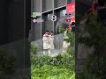 Homepage 15 Video thumbnail