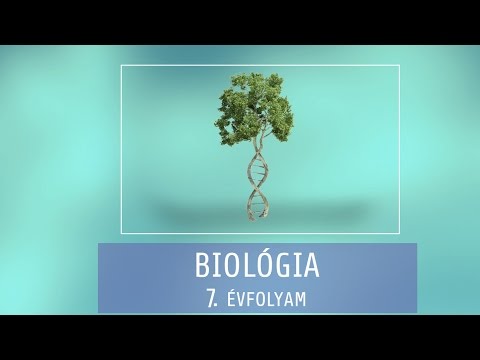 neuroendokrin rák fut