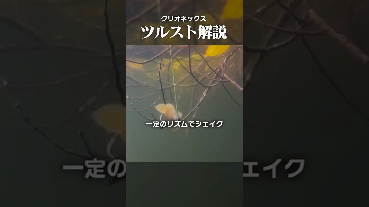 冬の“吊るし”で釣るコツ！ #shorts