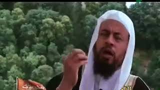 صورة محمد موسى الشريف | شخصيات اندلسية | ابو الحكم المنذر