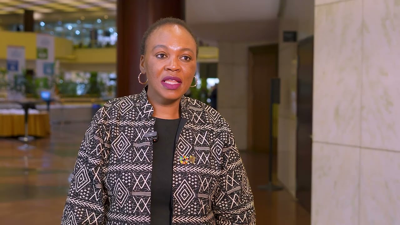 Domestic Resource Mobilization Starts at Home | Botho Kebabonye Bayendi on Agenda 2063 & the SDGs