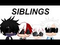 Siblings Meme The Todoroki Family My Hero Academia BNHA MHA
