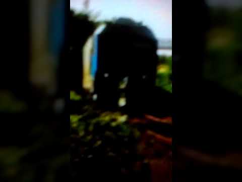 IR 1932 "Bihor Mangalianu" Oradea Mangalia cu dublă tracțiune la dealul ciupercă. 24.08.2016.