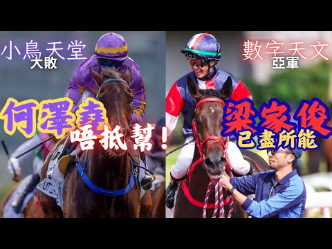 打吡2026賽後評｜何澤堯+梁家俊騎法遭抨擊：姚本輝練馬實例揭「小鳥天堂」真正敗因！