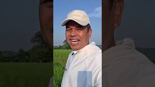 Download lagu Come on, who doesn't want to eat || Kang Dedi Mulyadi #kdm #kangdedymulyadi #father #West Java mp3 Download lagu Come on, who doesn't want to eat || Kang Dedi Mulyadi #kdm #kangdedymulyadi #father #West Java mp3