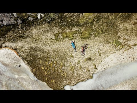 All the Ladies 👭 ONE FOR ALL