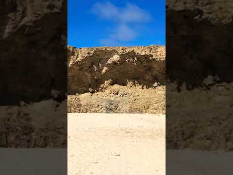 Andicuri beach on Aruba