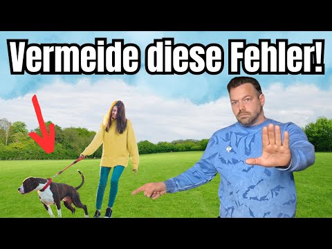 Dog pulls on the leash and nothing helps? Almost everyone is doing it wrong!