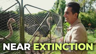 Ranveer Met Extinct Animals in Africa