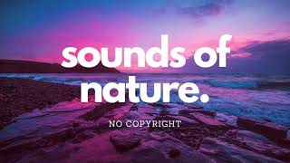 Download lagu Sounds of Nature - Light Rain (Sample SN09) - 5 tracks of 1 hour for 5 dollar mp3 Download lagu Sounds of Nature - Light Rain (Sample SN09) - 5 tracks of 1 hour for 5 dollar mp3