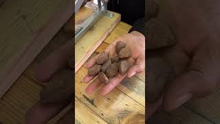 Brazil Nuts Cracking - Nutmec C1 Nut Cracker Tool