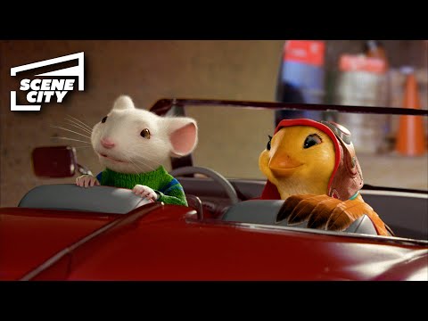 Stuart Saves Margalo From Falcon | Stuart Little 2 (Michael J. Fox, Melanie Griffith)