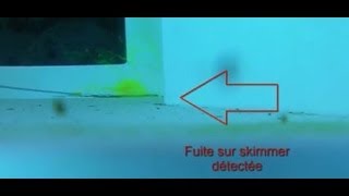 preview picture of video 'Fuite piscine test au colorant (fluorescéine) Blagnac 31'