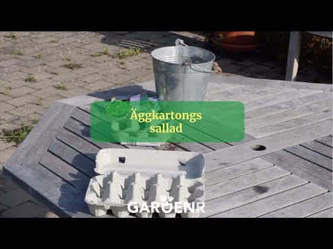 Äggkartongssallad - Trädgårdshacks med GardenR