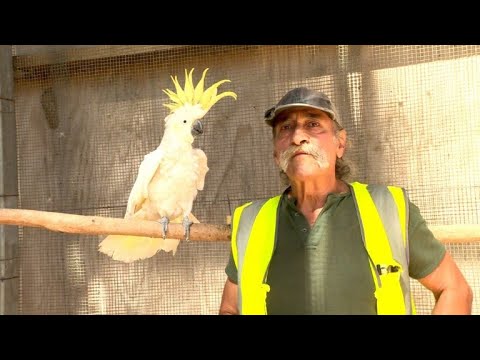 Häftlinge entdecken liebevolle Ader als Tierpfleger