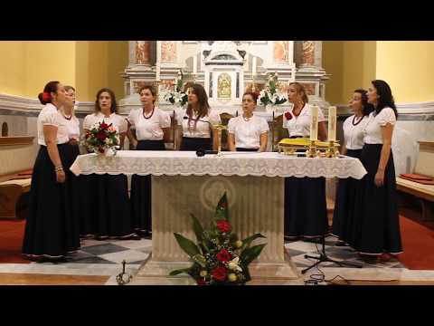 KLAPA NAVA  U ĐARDINU BILA RUŽA CVATE