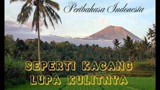 Download lagu Pribahasa 'Seperti kacang lupa kulitnya' mp3