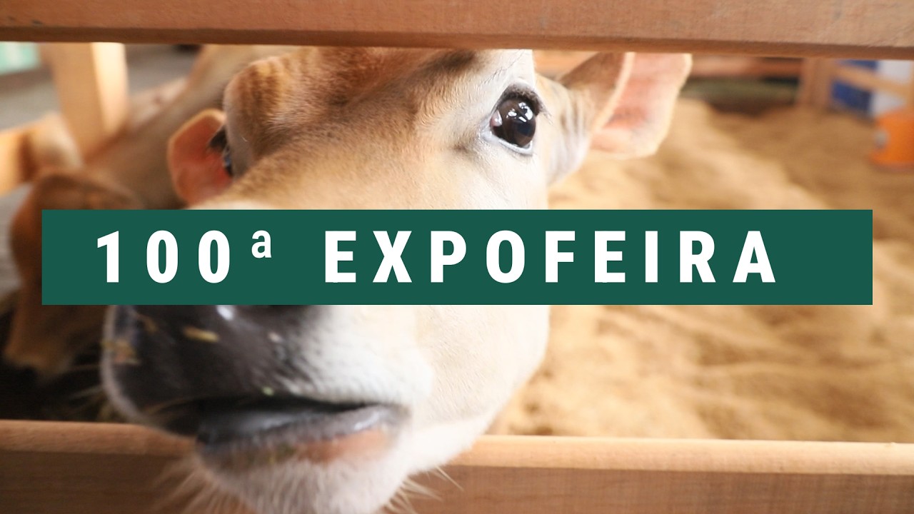 Embrapa na 100ª Expofeira de Pelotas: Agroecologia e Educação Ambiental para Crianças | Terra Sul