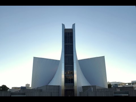 ブラバントワロン州の旗