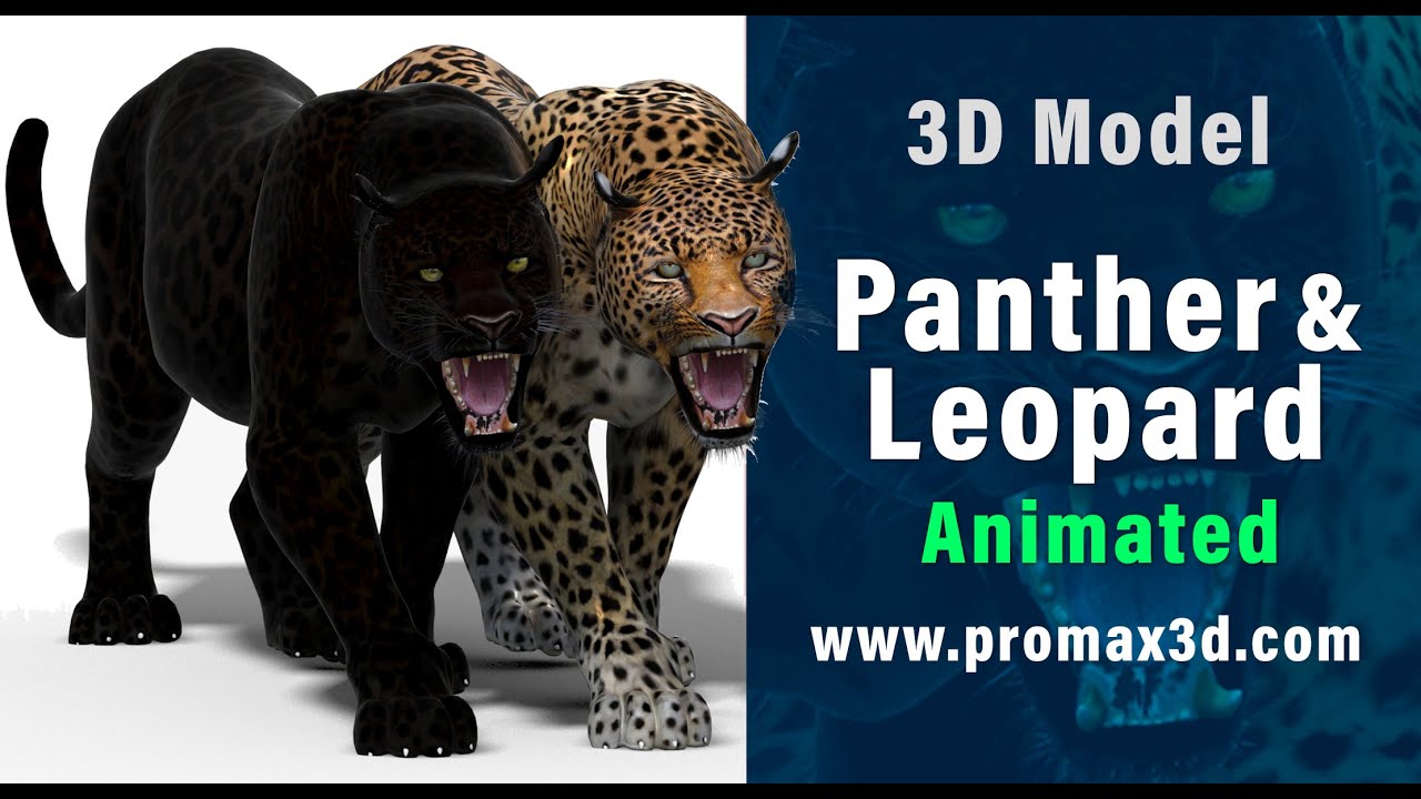 Leopard and Panther Animated 3D Model