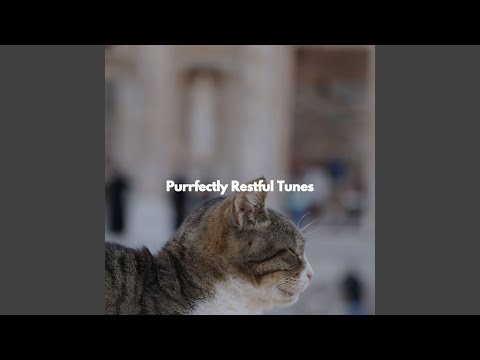 Fabulous Jazz Trio - Vibe for Open Work Floors