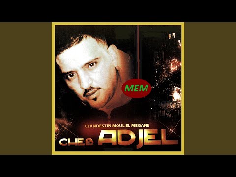 Clandestin moul el megane