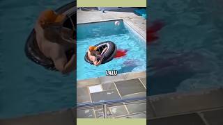 Download lagu CERDAS⁉️ Cara mengatasi orang yg kencing didalam kolam renang...😲 #shorts mp3 Download lagu CERDAS⁉️ Cara mengatasi orang yg kencing didalam kolam renang...😲 #shorts mp3