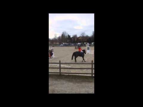 D-stevne Østern april 2014